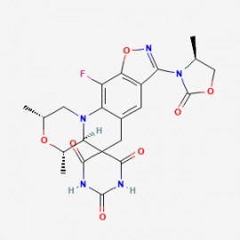 Zoliflodacin