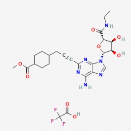 Apadenoson TFA