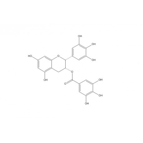 Epigallocatechin gallate