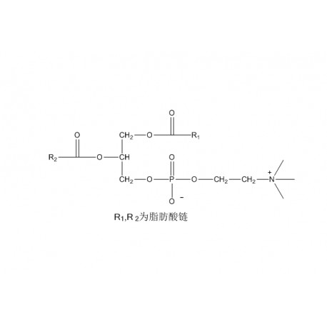 Egg yolk phosphatidylcholines