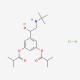 dl-Ibuterol hydrochloride