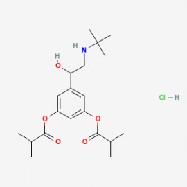 dl-Ibuterol hydrochloride