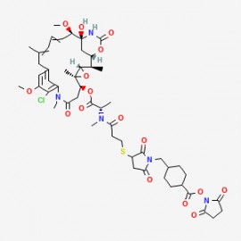 SMCC-DM1