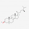 Ergostenol