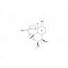 Dihydroartemisinin