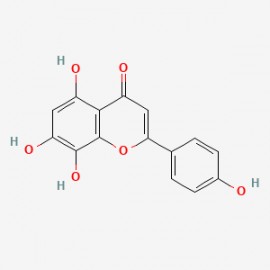 8-Hydroxyapigenin