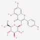 Kaempferol 3-O-?-D-glucuronide