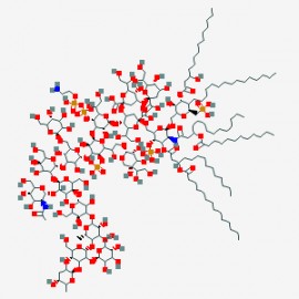 Lipopolysaccharides