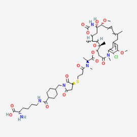 Lys-SMCC-DM1