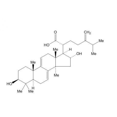 Dehydrotumulosic acid