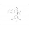Demethylpodophyllotoxin, 4'-