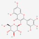 Myricetin 3-O-glucoside