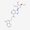 A2AR-agonist-1