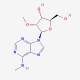 N6-Methyl-2'-O-methyladenosine