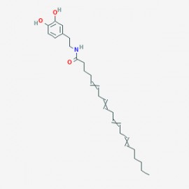 N-Arachidonyldopamine