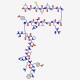 Neuropeptide W-23(human)