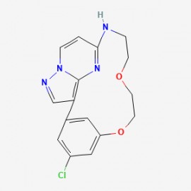 OD36