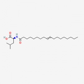 N-Oleoyl Leucine