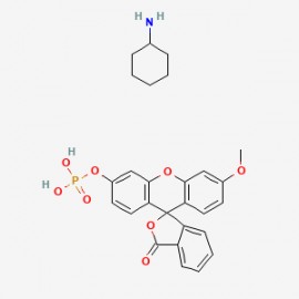 3-OMFP Cyclohexylammonium salt