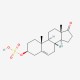 Dehydroepiandrosterone sulfate