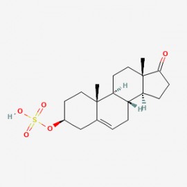 Dehydroepiandrosterone sulfate