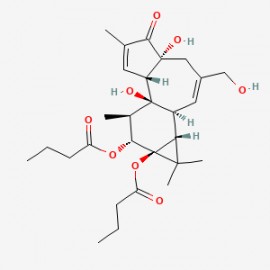 Phorbol 12,13-dibutyrate