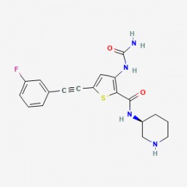 PHI-101