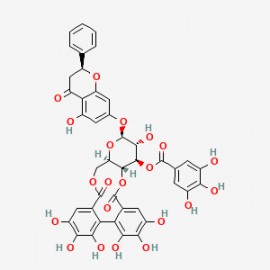 Pinocembrin 7-O-[3''-O-galloyl-4'',6''-hexahydroxydiphenoyl]-?-D-glucoside