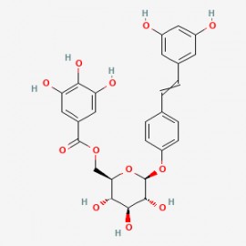 Resveratrol 4'-(6-galloylglucoside)