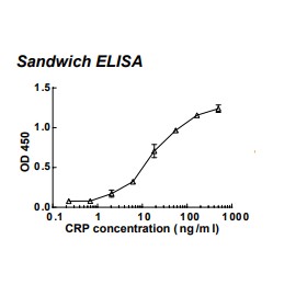Rabbit anti-human C-reactive protein (CRP) monoclonal antibody (clone 56C1)
