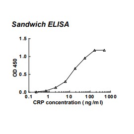 Rabbit anti-human C-reactive protein (CRP) monoclonal antibody (clone 56C1)