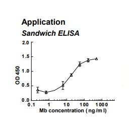 Rabbit anti-human Myoglobin (Mb) monoclonal antibody (clone 7D3)