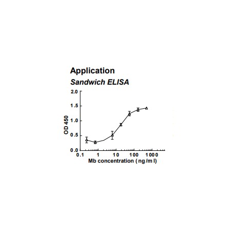 Rabbit anti-human Myoglobin (Mb) monoclonal antibody (clone 7D3)