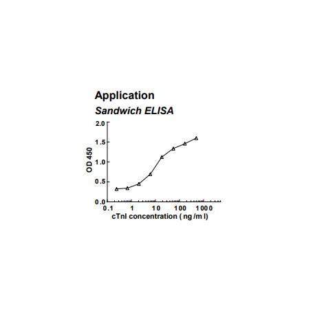 Rabbit anti-human cardiac Troponin I (cTnI) monoclonal antibody (clone 5A16)