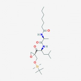 UK-101