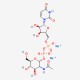 UDP-GlcNAc Disodium Salt