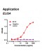 Rabbit anti-human Creatine kinase-MB (CKMB) monoclonal antibody, clone 8D10