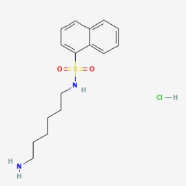 W-5 hydrochloride