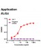 Rabbit anti-human Fatty acid binding protein 3 (FABP3) monoclonal antibody clone 3A11