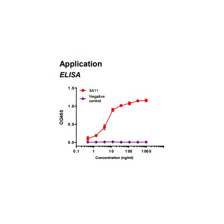 Rabbit anti-human Fatty acid binding protein 3 (FABP3) monoclonal antibody clone 3A11