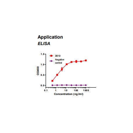 Rabbit anti-human Fatty acid binding protein 3 (FABP3) monoclonal antibody clone 3B10
