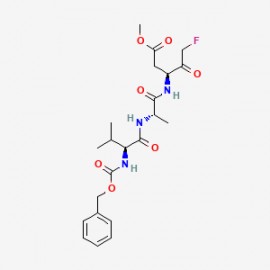 Z-VAD(OMe)-FMK