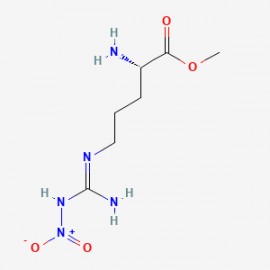 NG-Nitroarginine methyl ester