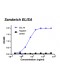 Rabbit anti-human Chemokine (C-C motif) ligand 18 (CCL18) monoclonal antibody, clone 5G8