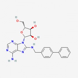 CNT2 inhibitor-1