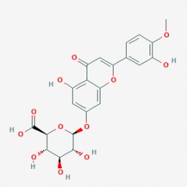 DiosMetin 7-O-?-D-Glucuronide