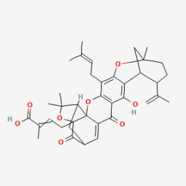 Gambogellic acid