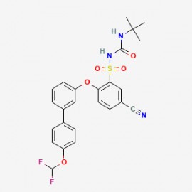 NTP42