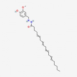 OMDM-6