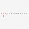 2-Arachidonoylglycerol